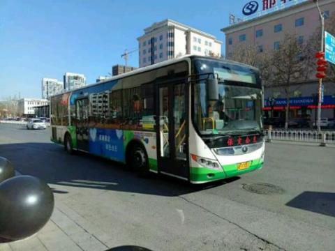 河北保定公交车线路